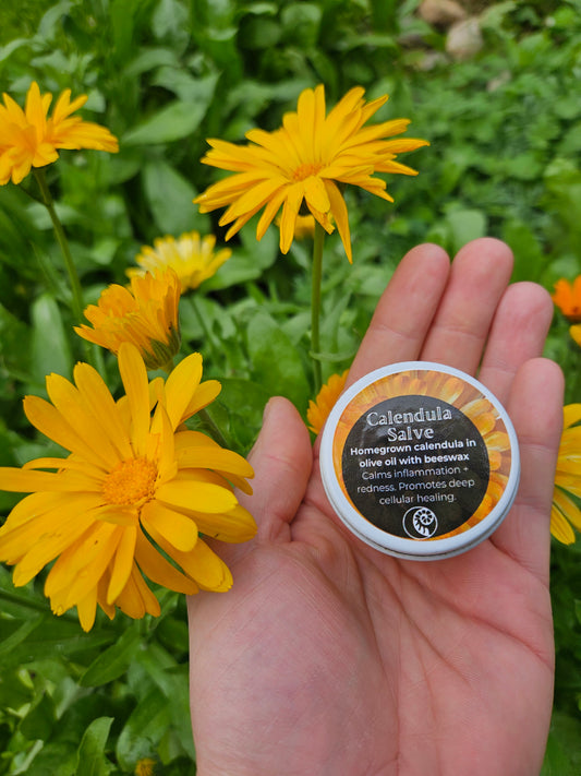 Calendula Salve