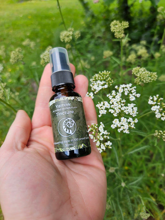 Yarrow Tincture